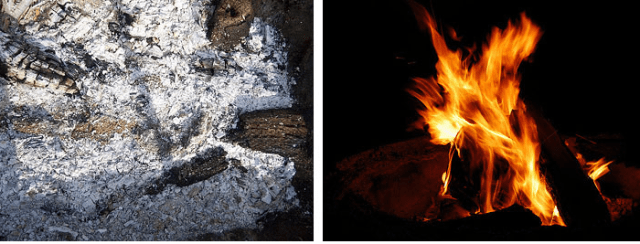 derevna-zola-organichne-dobruvo Деревна зола як органічне добриво