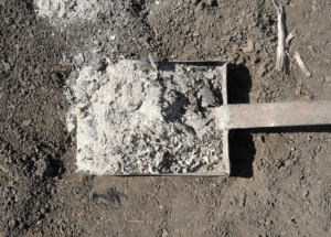 Органічні добрива- зола