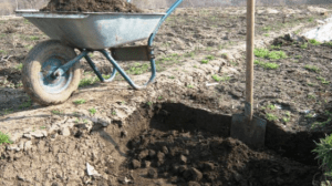 Органічні добрива фото.