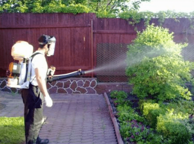 midnyj-kuporos-zastosyvannya-v-sadivnuctvi Мідний купорос застосування в садівництві