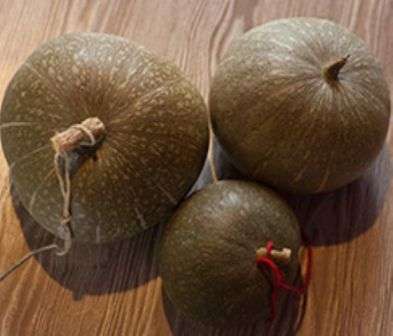 Лікувальний Гарбуз