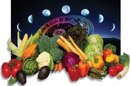 Посівний календар огородника на 2022 рік