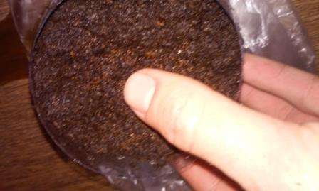 Технологія вирощування петунії