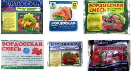 Як зробити бордоську суміш для обприскування дерев