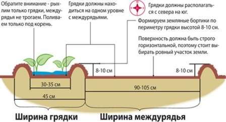 Грядки Міттлайдера