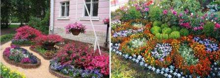 фото клумби квітники своїми руками