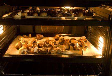 Сушка грибів в духовці