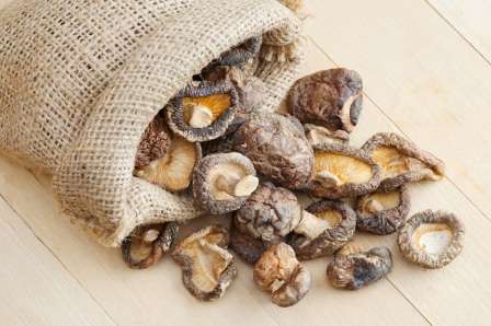 Як правильно сушити гриби в домашніх умовах на зиму