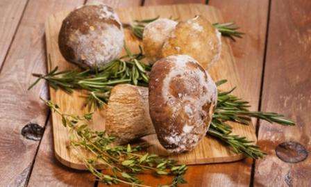 Як заморозити білі гриби на зиму. Заморожуємо грибочки правильно