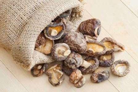 Зберігання грибів в полотняних мішках