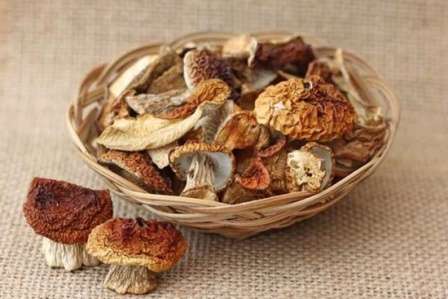 Як зберігати сушені гриби на зиму в домашніх умовах