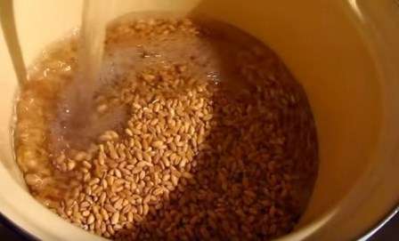 Кутя (сочиво) класична з узваром