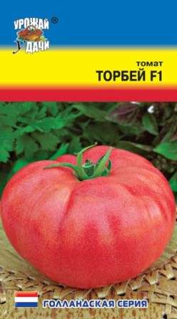Томат Торбей