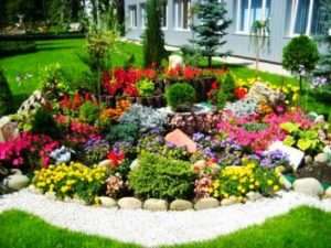 Ідеї дизайну клумби на дачі своїми руками
