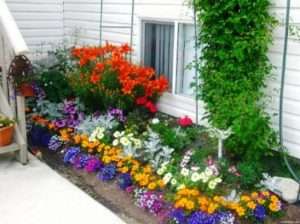 Дизайн клумби на дачі своїми руками, фото