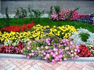 щоб спорудити клумбу своїми руками необхідно