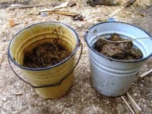 Вид добрива: Гній