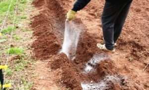 Мінеральні добрива для грунту