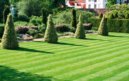 газонна трава своїми руками