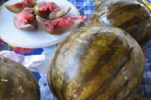 Маринований кавун цілком