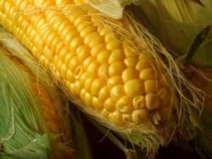 Як консервувати кукурудзу в качанах