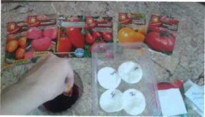 Як правильно посадити насіння помідорів у 2022 році