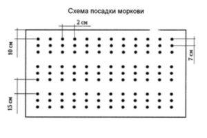 Передпосівна підготовка насіння