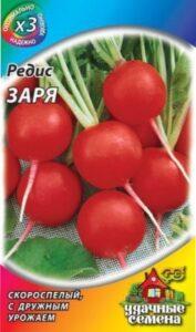 Зоря редька.